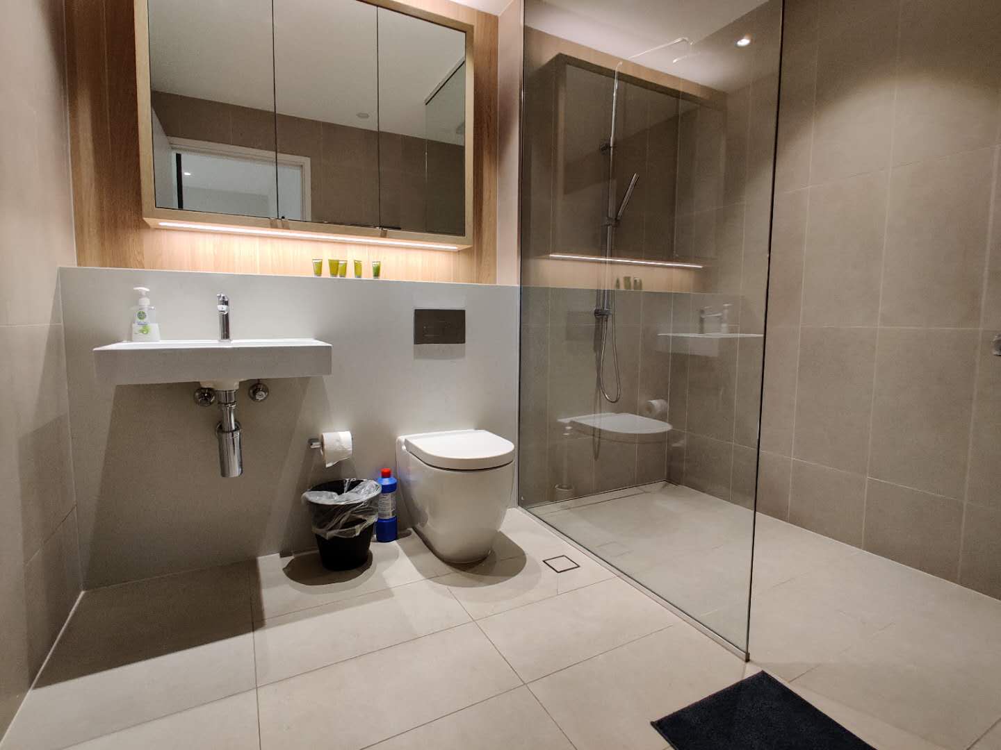 Ryde 2 Bedroom Buffalo Road RY2133-Sydney short term rentals