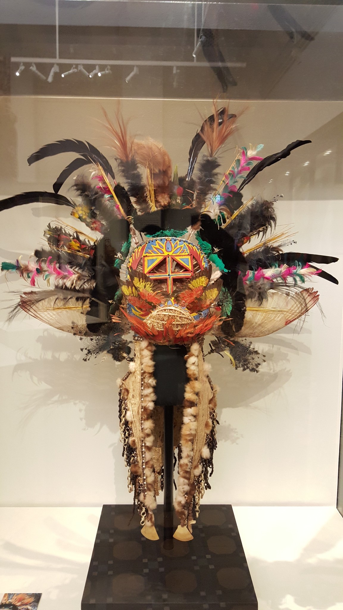 Australian Museum-Harper Brooks