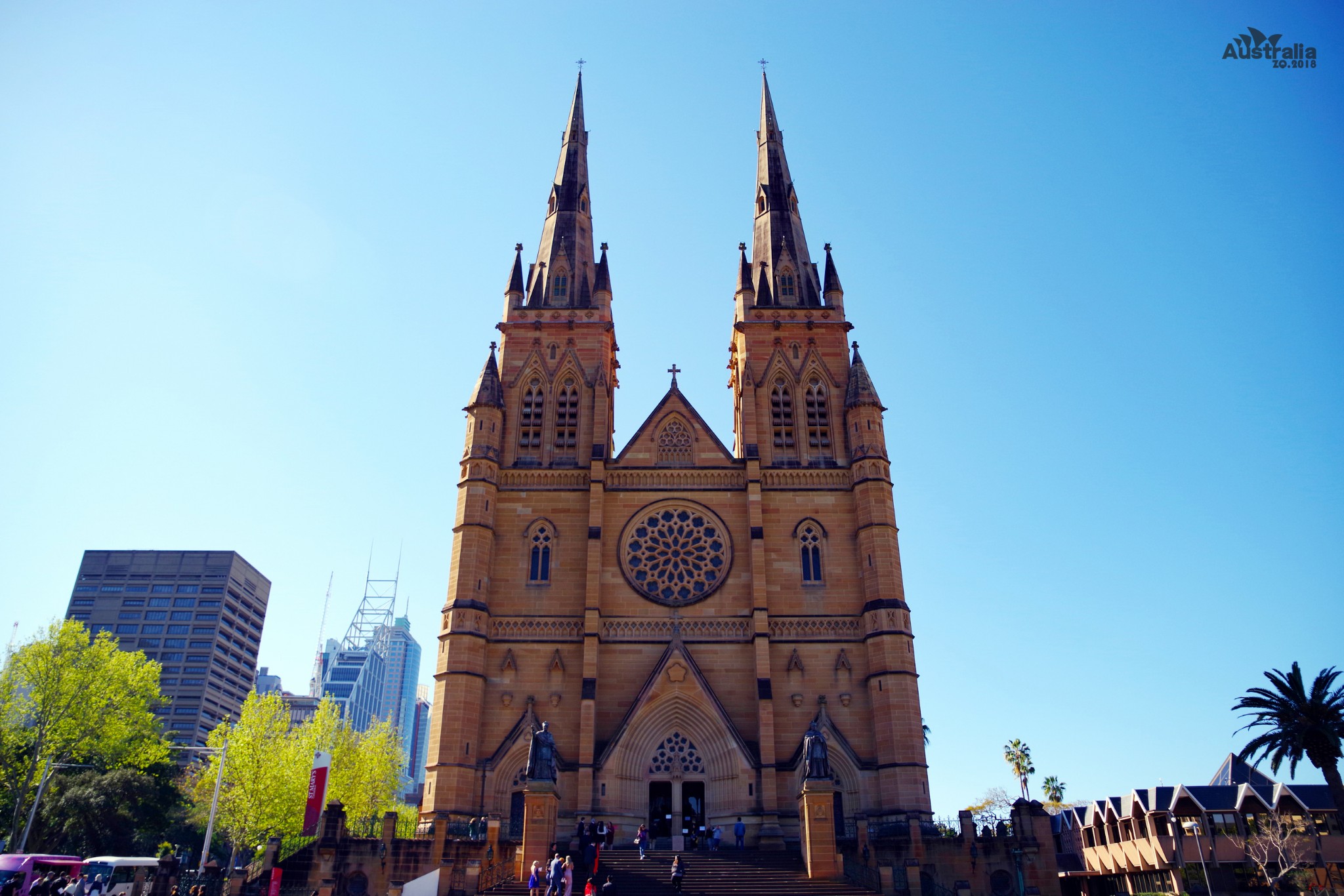St Mary's Cathedral-Shane Winchester