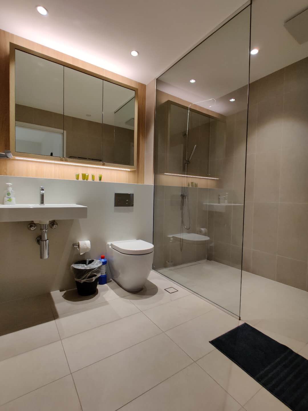 Ryde 2 Bedroom Buffalo Road RY2133-Sydney short term rentals