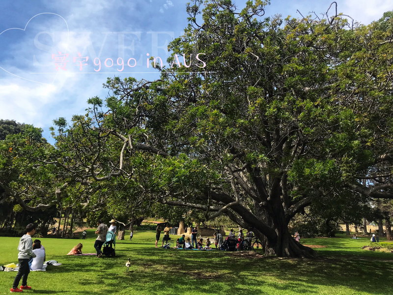 Royal Botanic Garden-Caleb Robinson