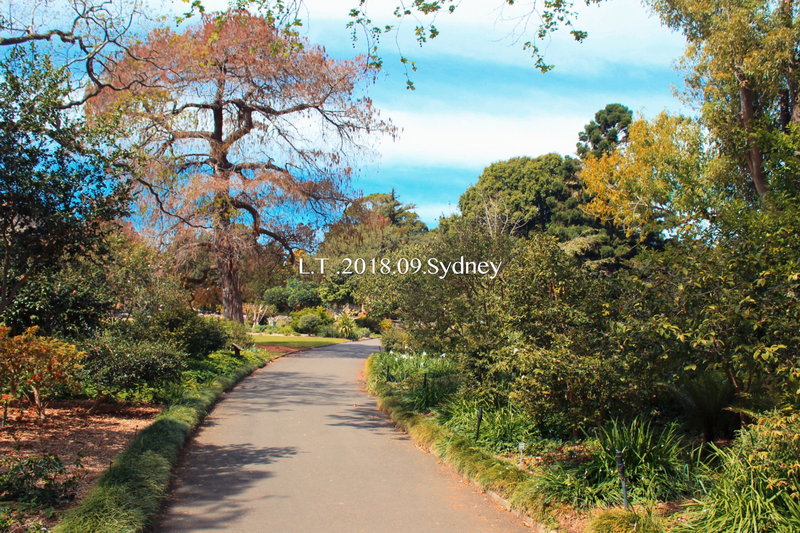 Royal Botanic Garden-Marcus Davis
