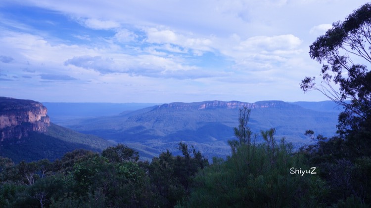 Blue Mountains-Willow Rothschild