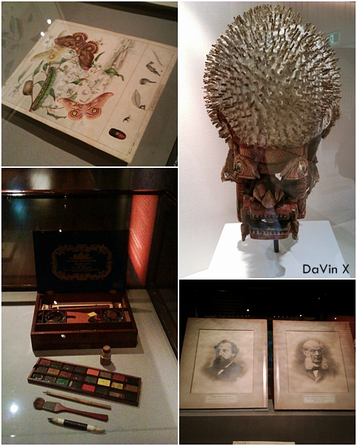 Australian Museum-Valentina Lloyd