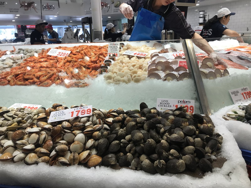 Sydney Fish Market-Aiden Hughes