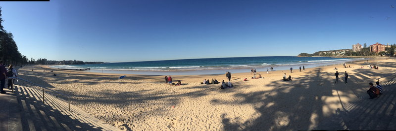 Manly Beach-Olivia Rothschild