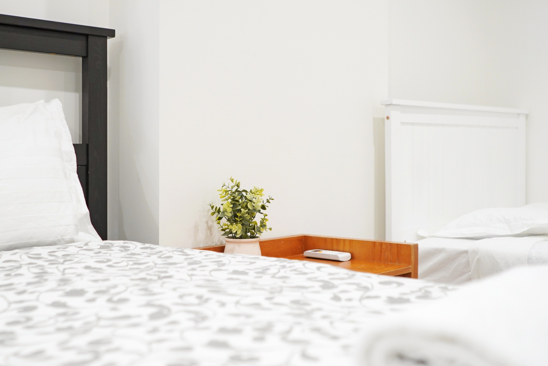 Dulwich Hill Studio Herbert Street DH003-Sydney short term rentals