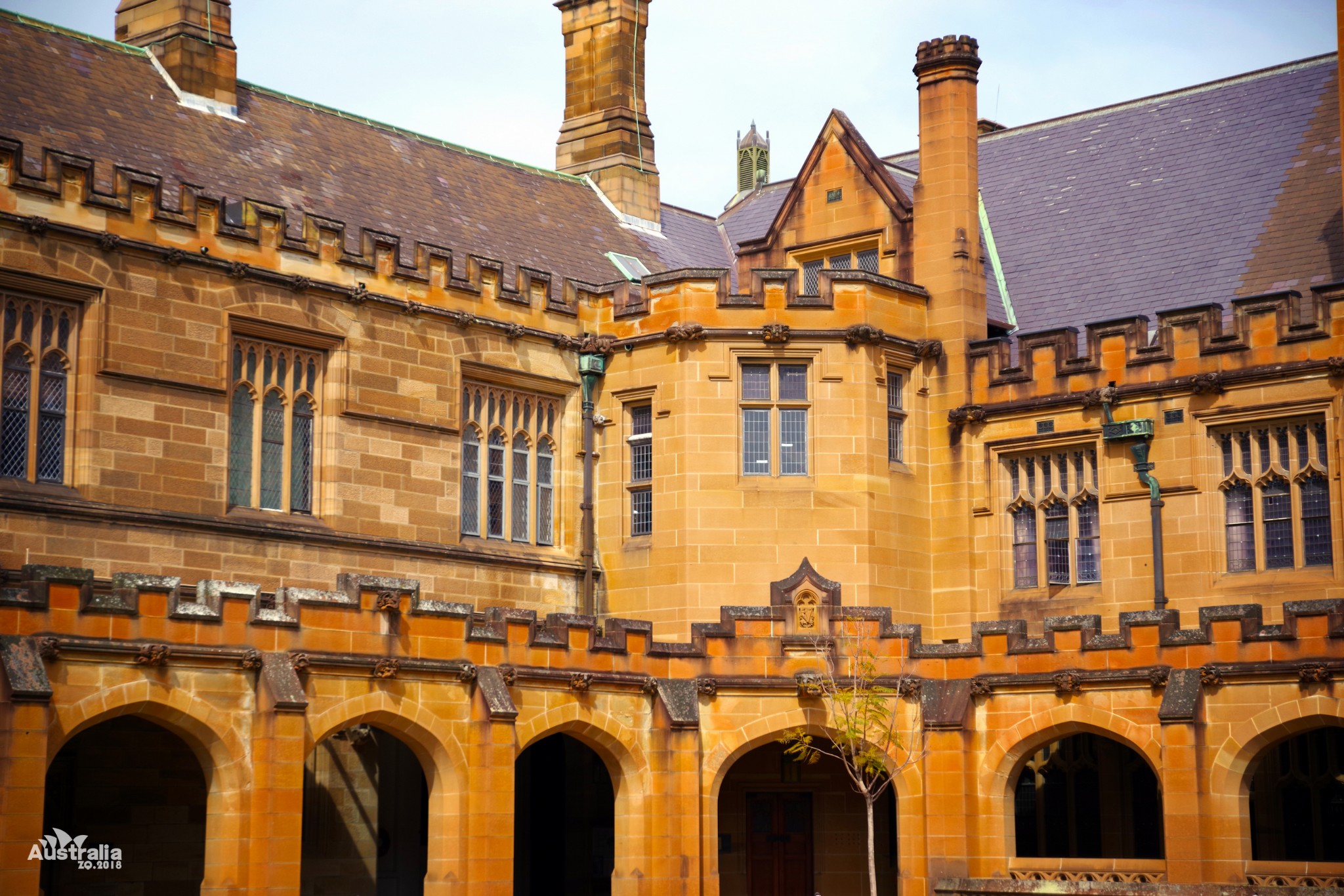 Sydney Uni-Drake Nightshine