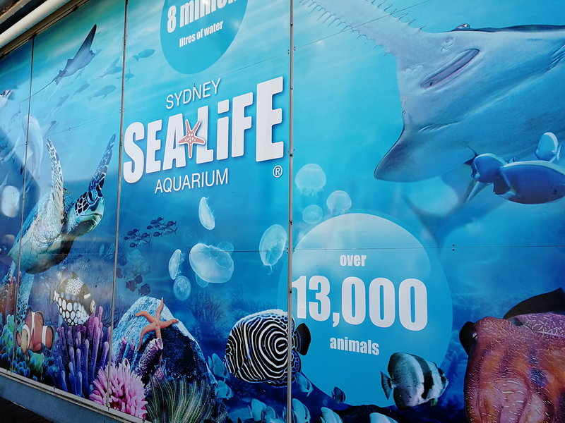 SEA LIFE Sydney Aquarium-Thomas Murphy