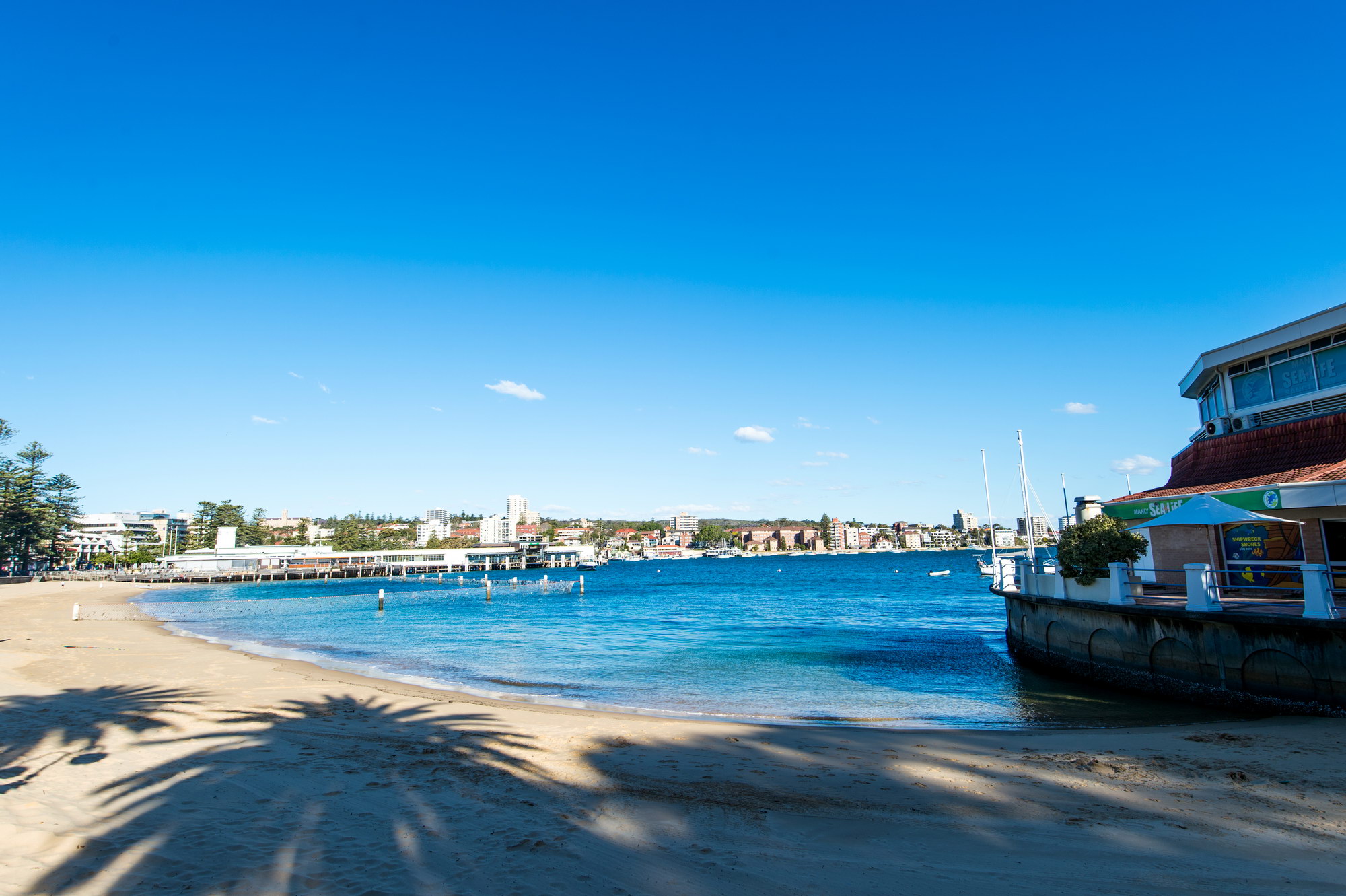 Manly Beach-Grace Blackburn