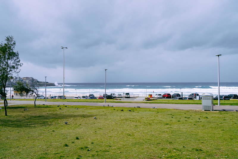 Bondi Beach-Roman Crawford