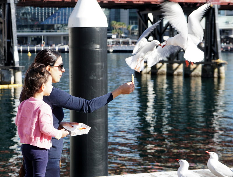 Darling Harbour-Lucy Henderson