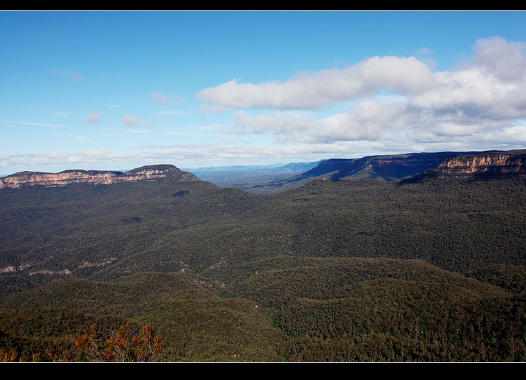 Blue Mountains-Emma Martinez