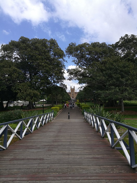 Sydney Uni-Atlas Nightlight