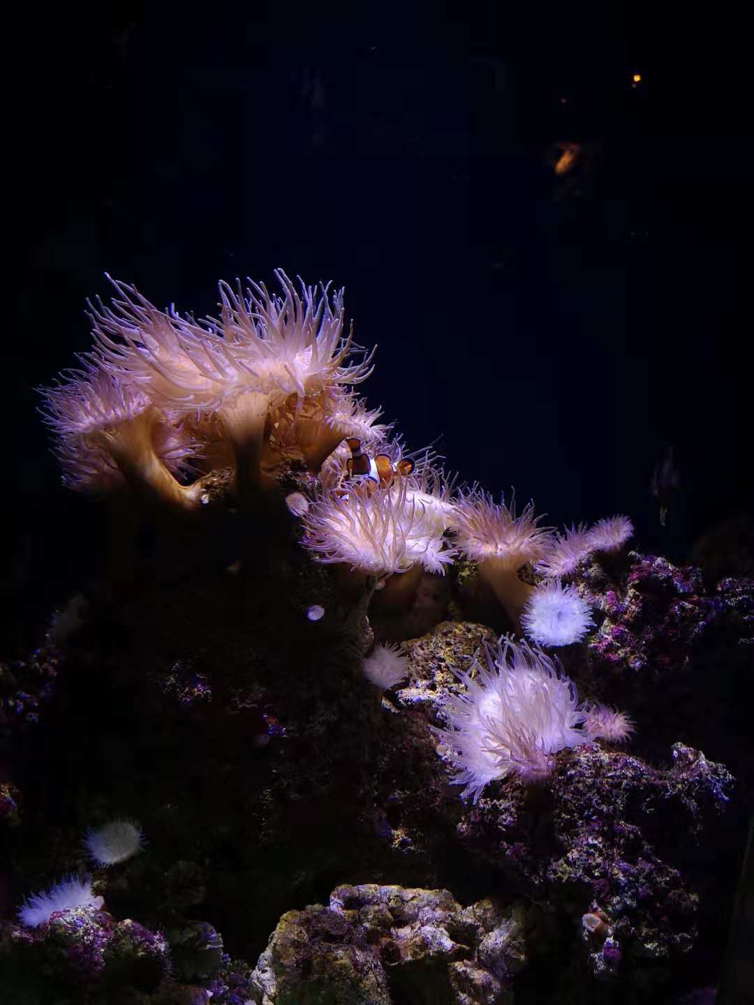 SEA LIFE Sydney Aquarium-Oliver Brown