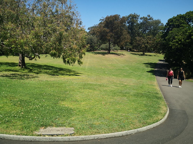 Royal Botanic Garden-Rachel Turner