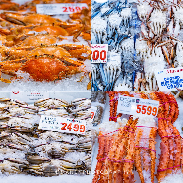 Sydney Fish Market-Lucas Palmer
