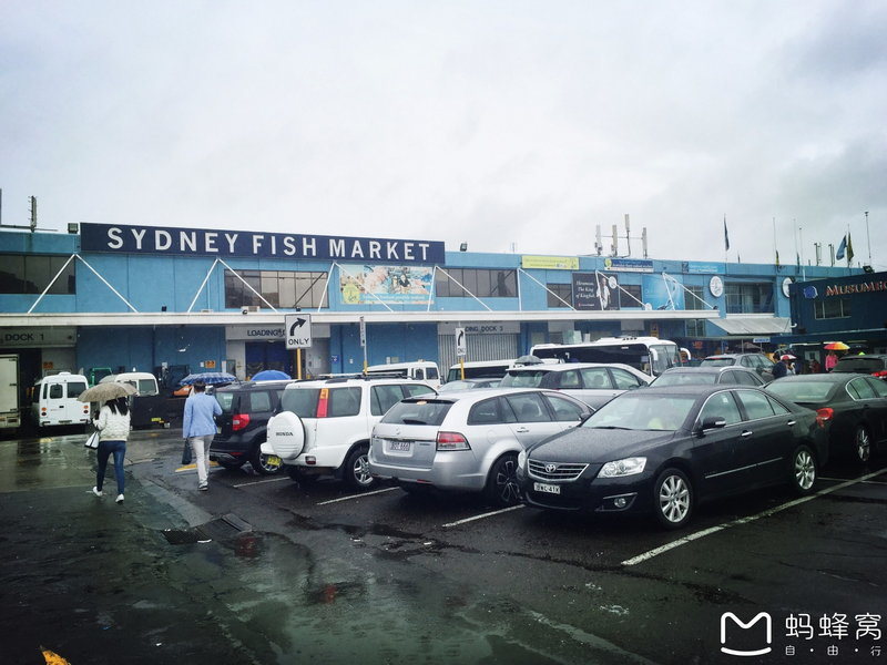 Sydney Fish Market-Austin White