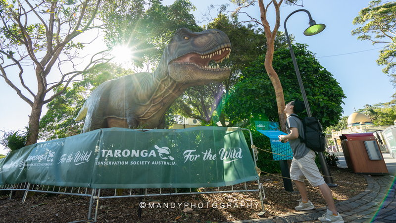 Taronga Zoo-Terra Goldleaf