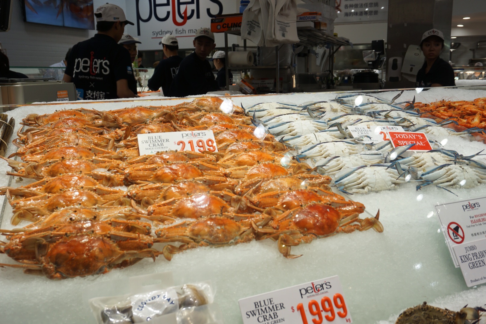 Sydney Fish Market-Maya Scott