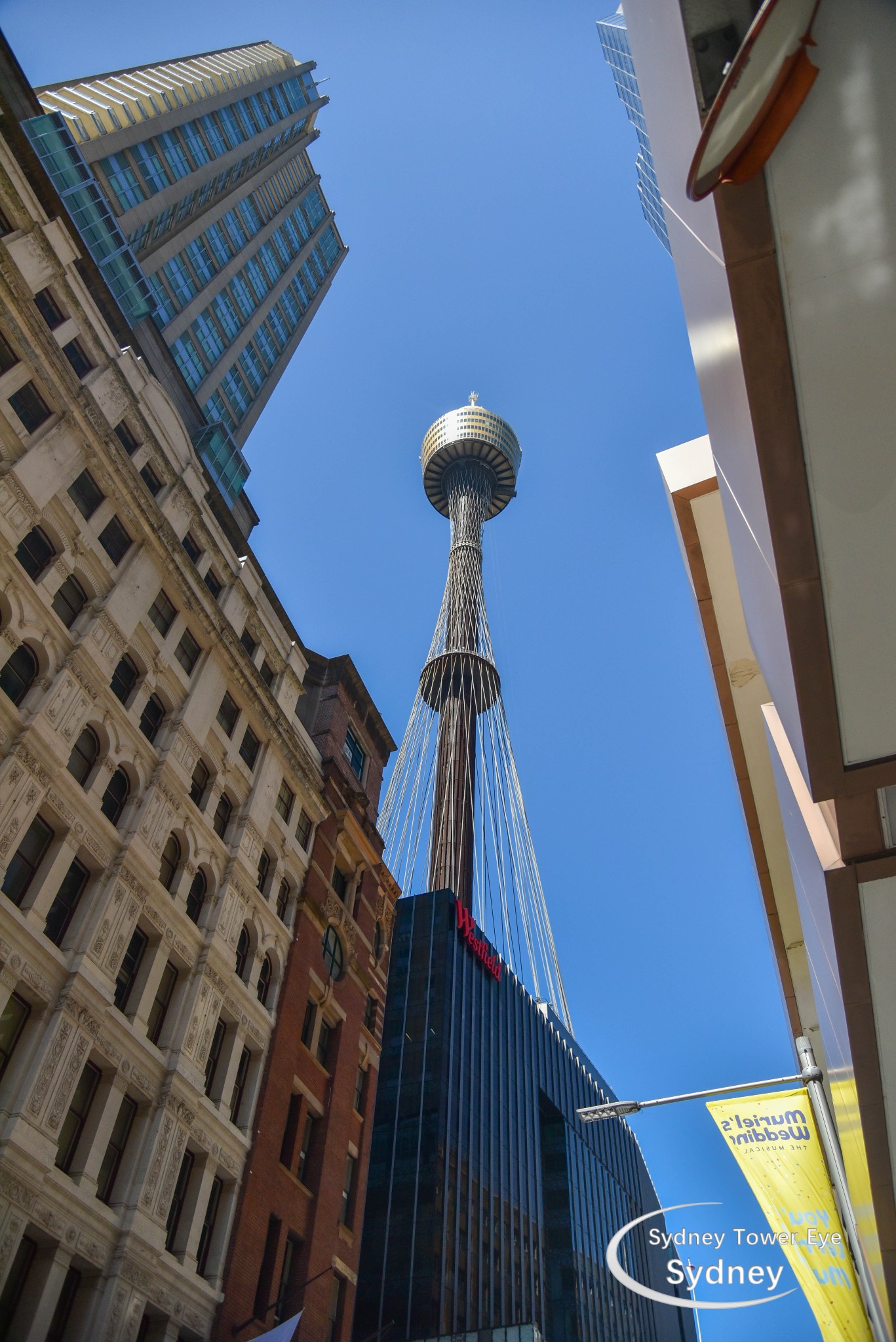 Sydney Tower Eye-Victoria Reed
