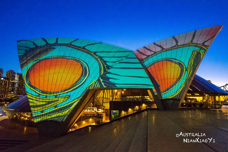 Sydney Opera House-Violet Powell