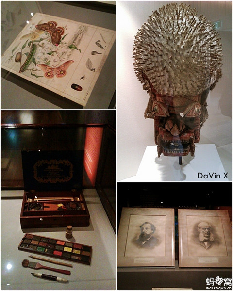 Australian Museum-Valentina Lloyd