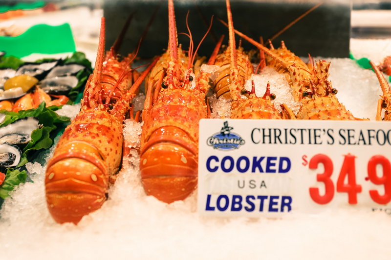 Sydney Fish Market-Clara Campbell