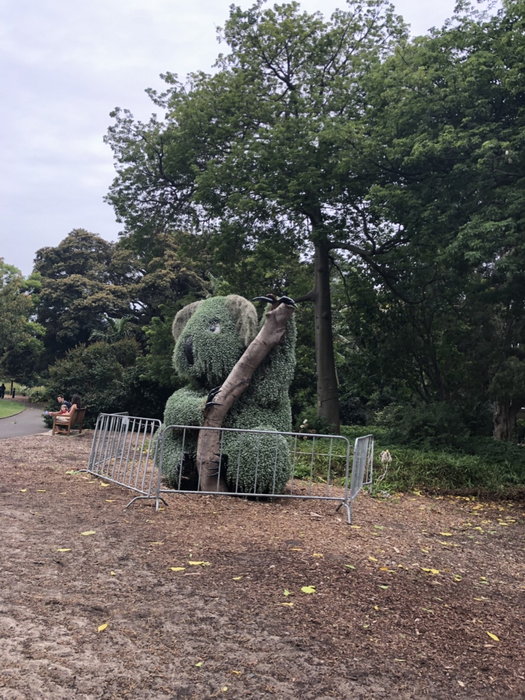 Royal Botanic Garden-Spencer Lee