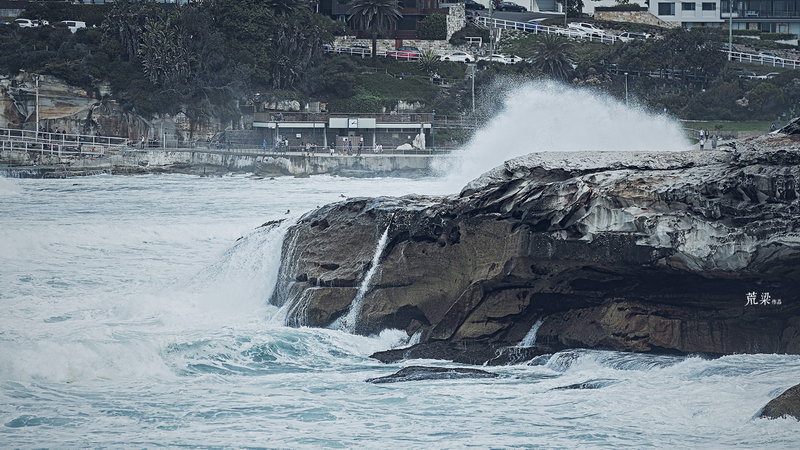 Bondi Beach-Felix Pearson