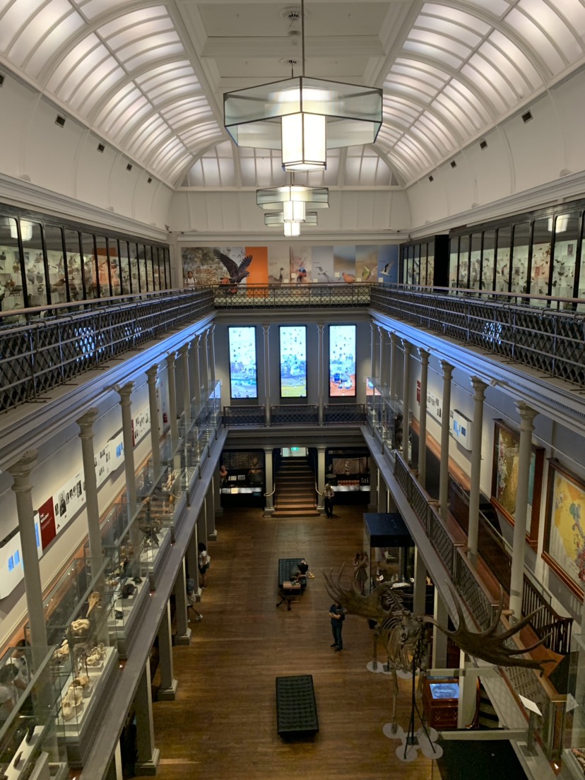 Australian Museum-Joseph Taylor