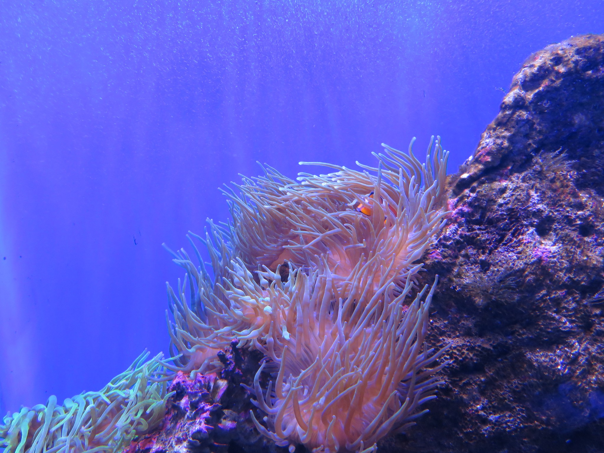 SEA LIFE Sydney Aquarium-Michael Ward