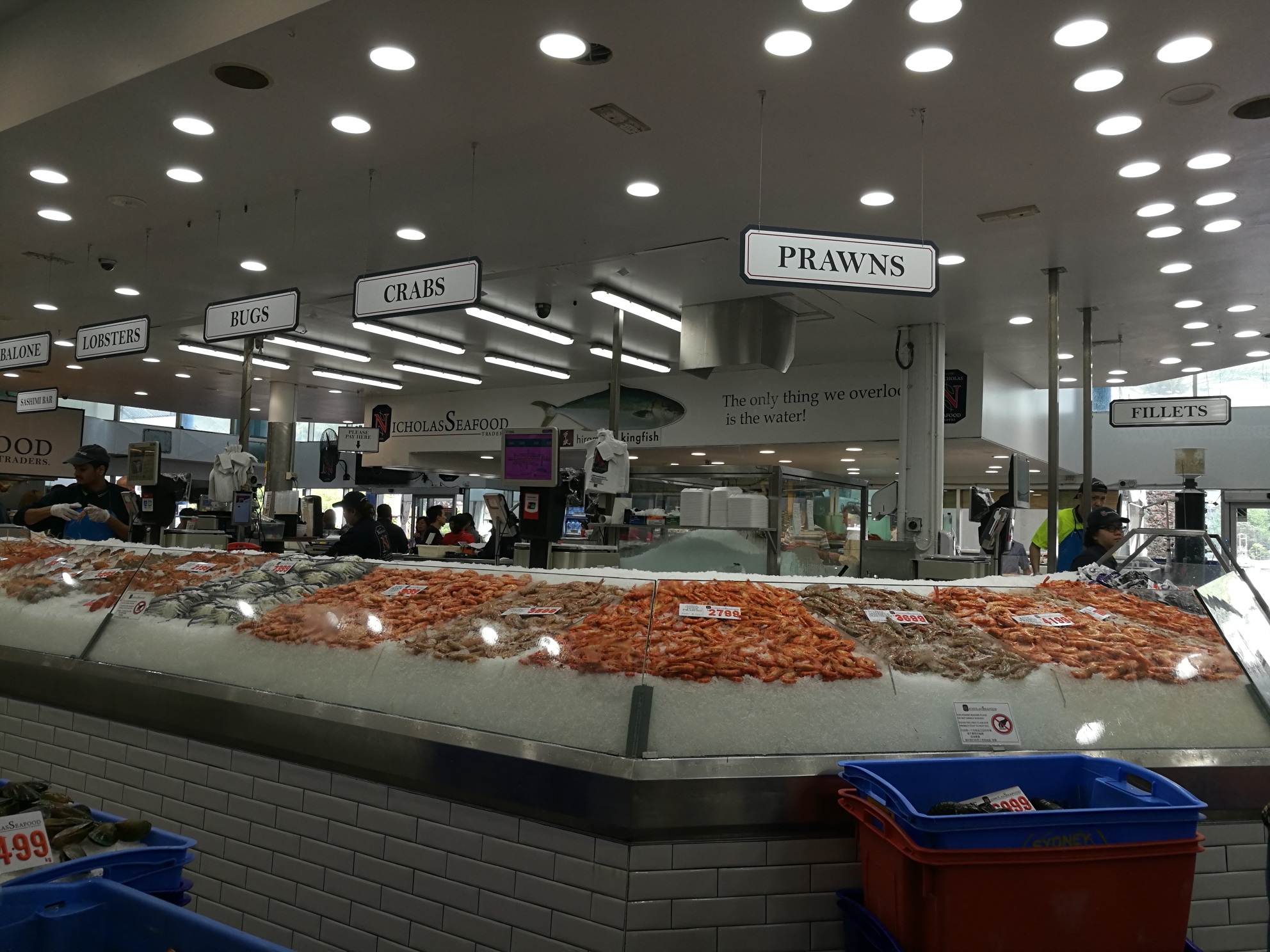 Sydney Fish Market-Victoria Edwards
