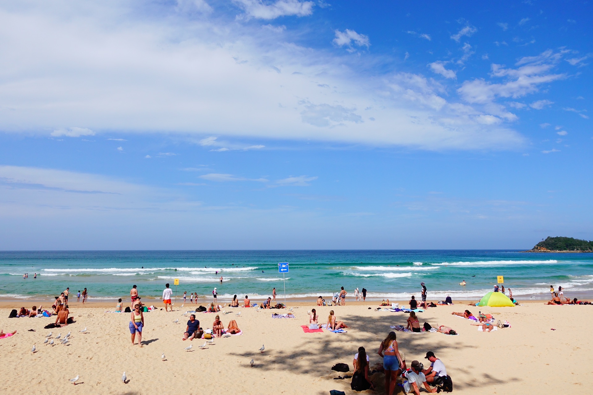 Manly Beach-Sophia Fairfax