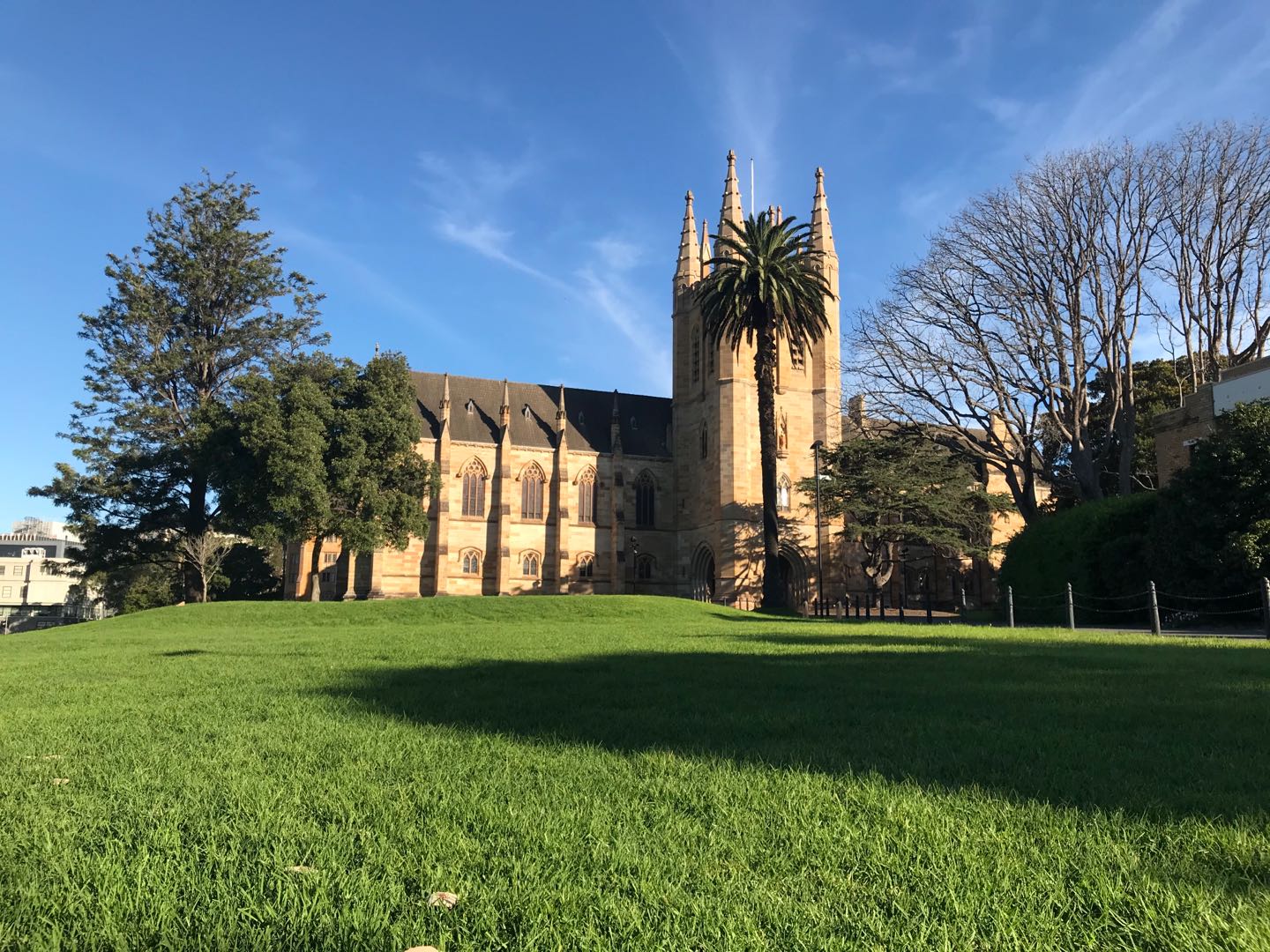 Sydney Uni-Asher Moonhollow