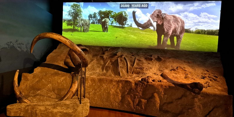 Australian Museum-Benjamin Mitchell