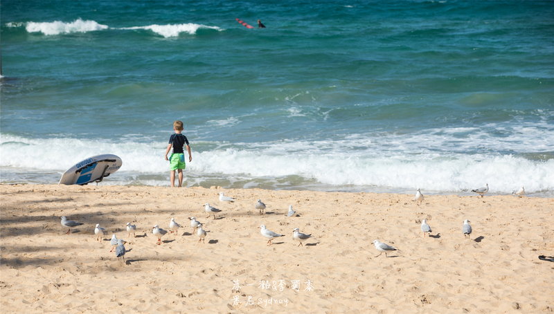 Manly Beach-Harper Callahan