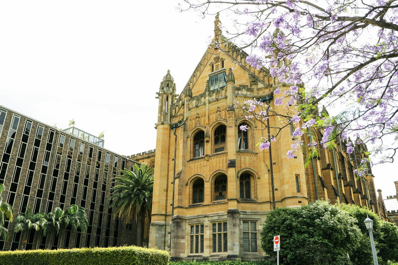Sydney Uni-Raven Mooncliff