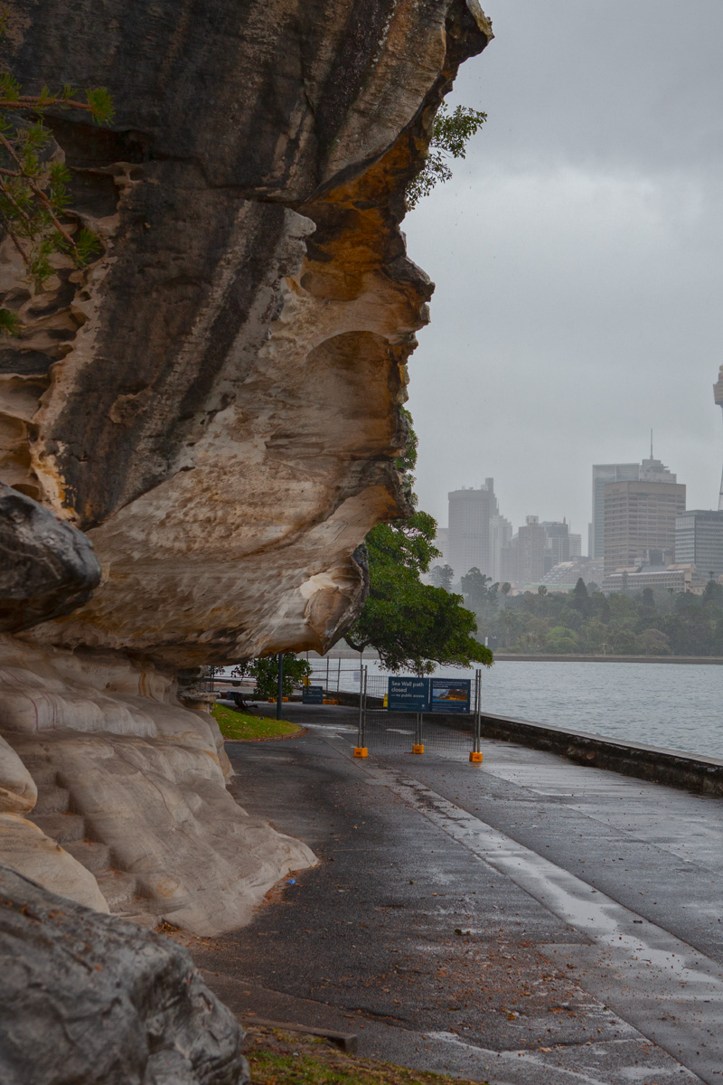 Royal Botanic Garden-Brandon King