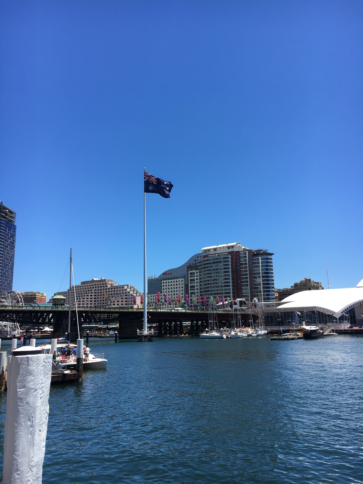 Darling Harbour-Matthew Peterson