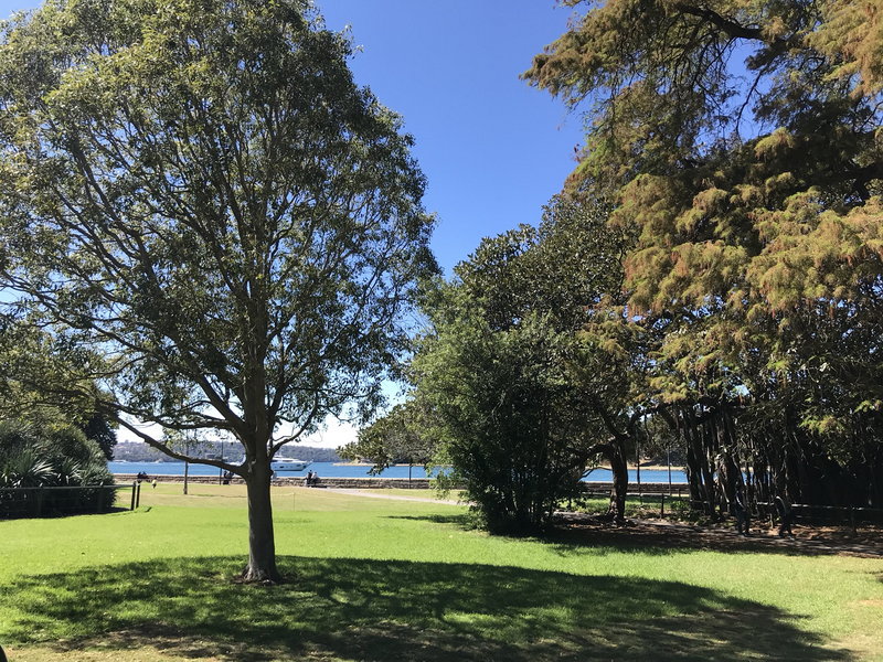 Royal Botanic Garden-Georgia Wilson