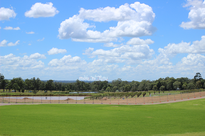 Hunter Valley-Phoenix Kingsley