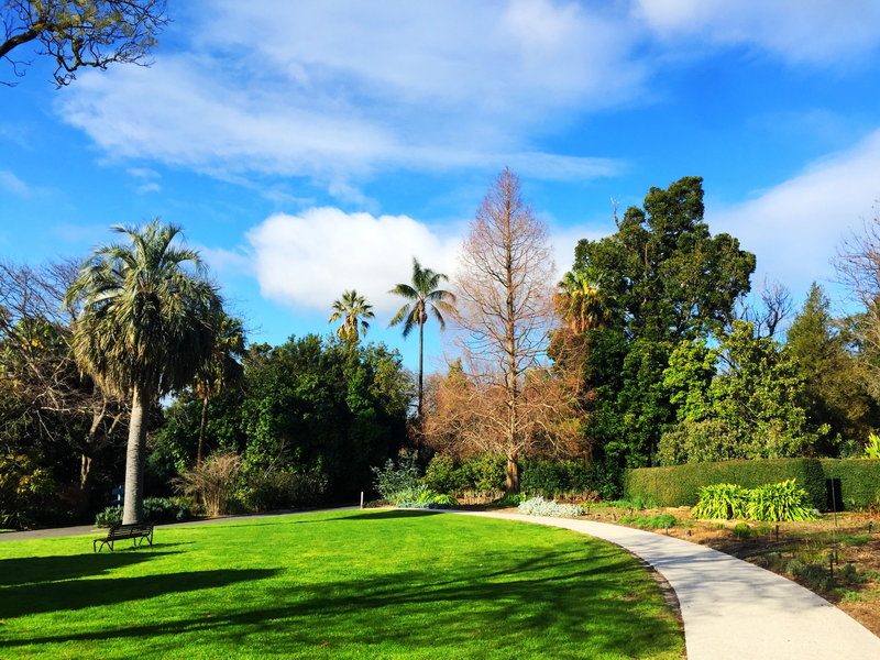 Royal Botanic Garden-Maxwell Jenkins