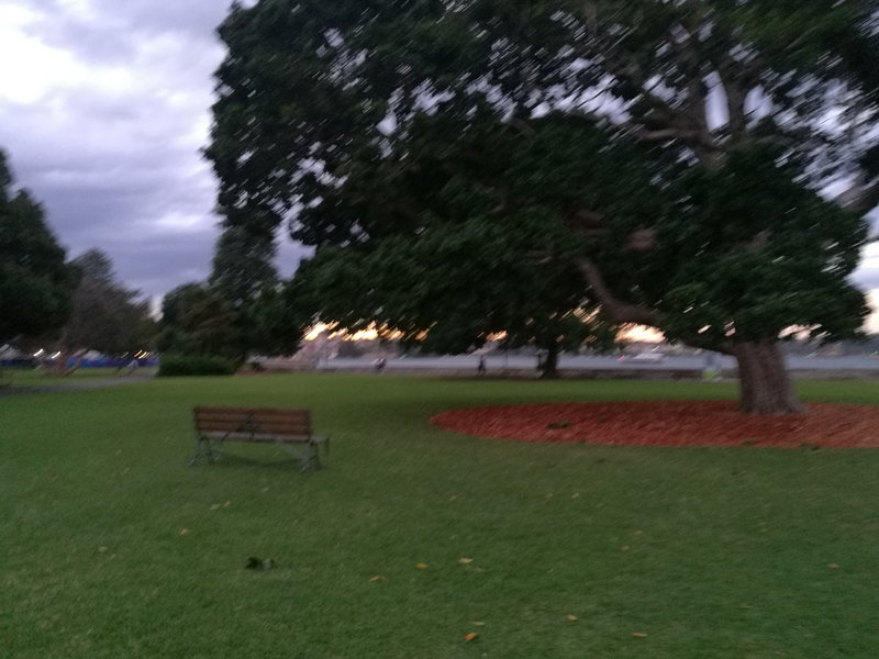 Royal Botanic Garden-Naomi Clark