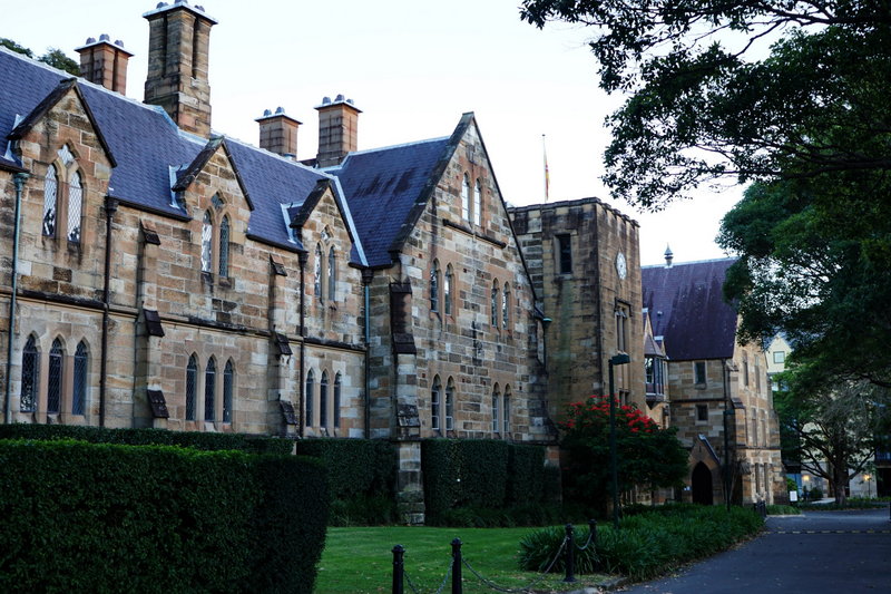 Sydney Uni-Willow Moonwood