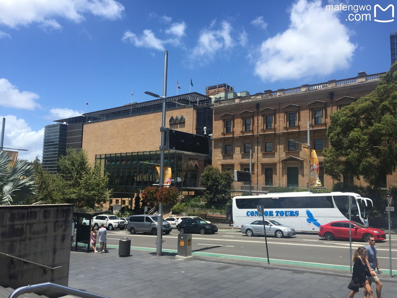 Australian Museum-Amelia Walsh