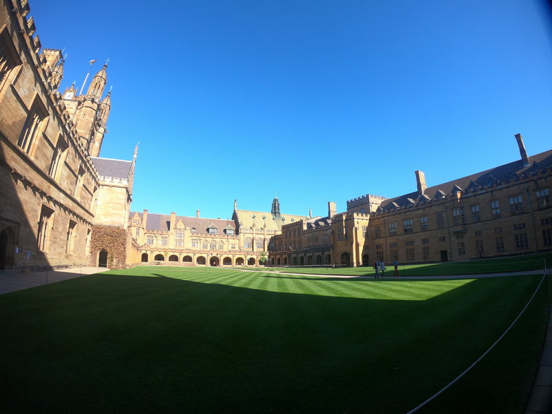 Sydney Uni-Ocean Dawncliff
