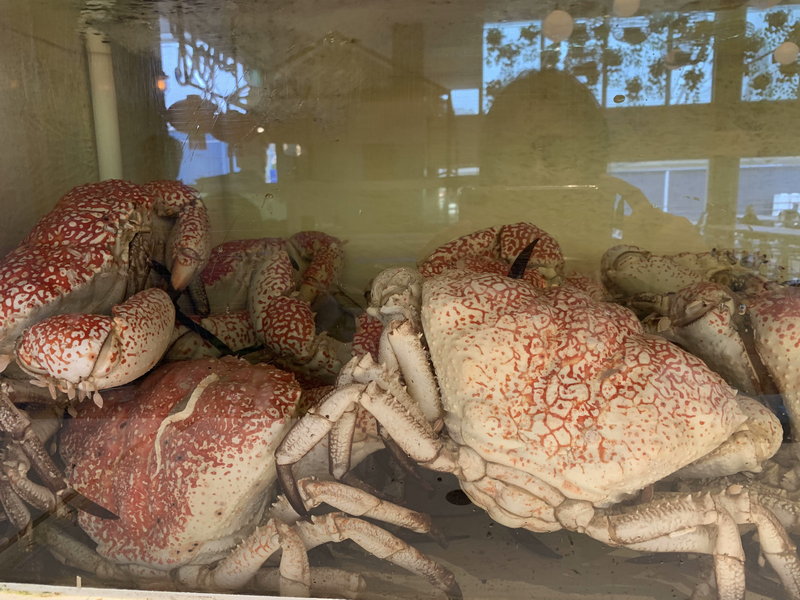 Sydney Fish Market-Chase Anderson
