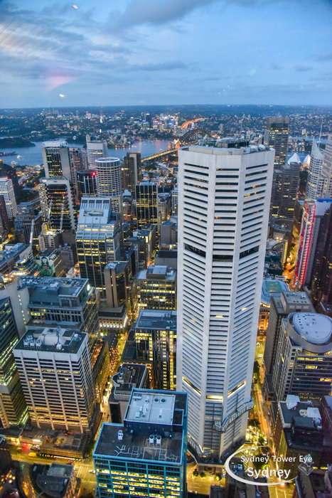 Sydney Tower Eye-Victoria Reed