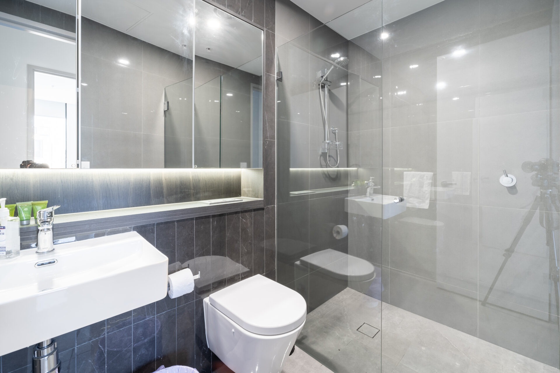 Beaconsfield 2 Bedroom Queen Street BEA51-Sydney short term rentals